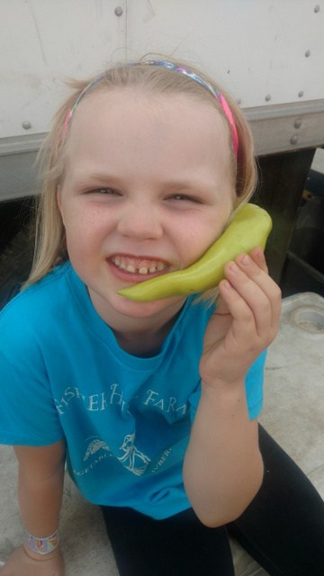 Fisher Hill Farm Contact