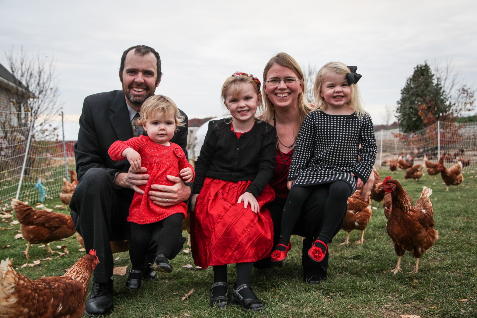 Fisher Hill Farm Chickens