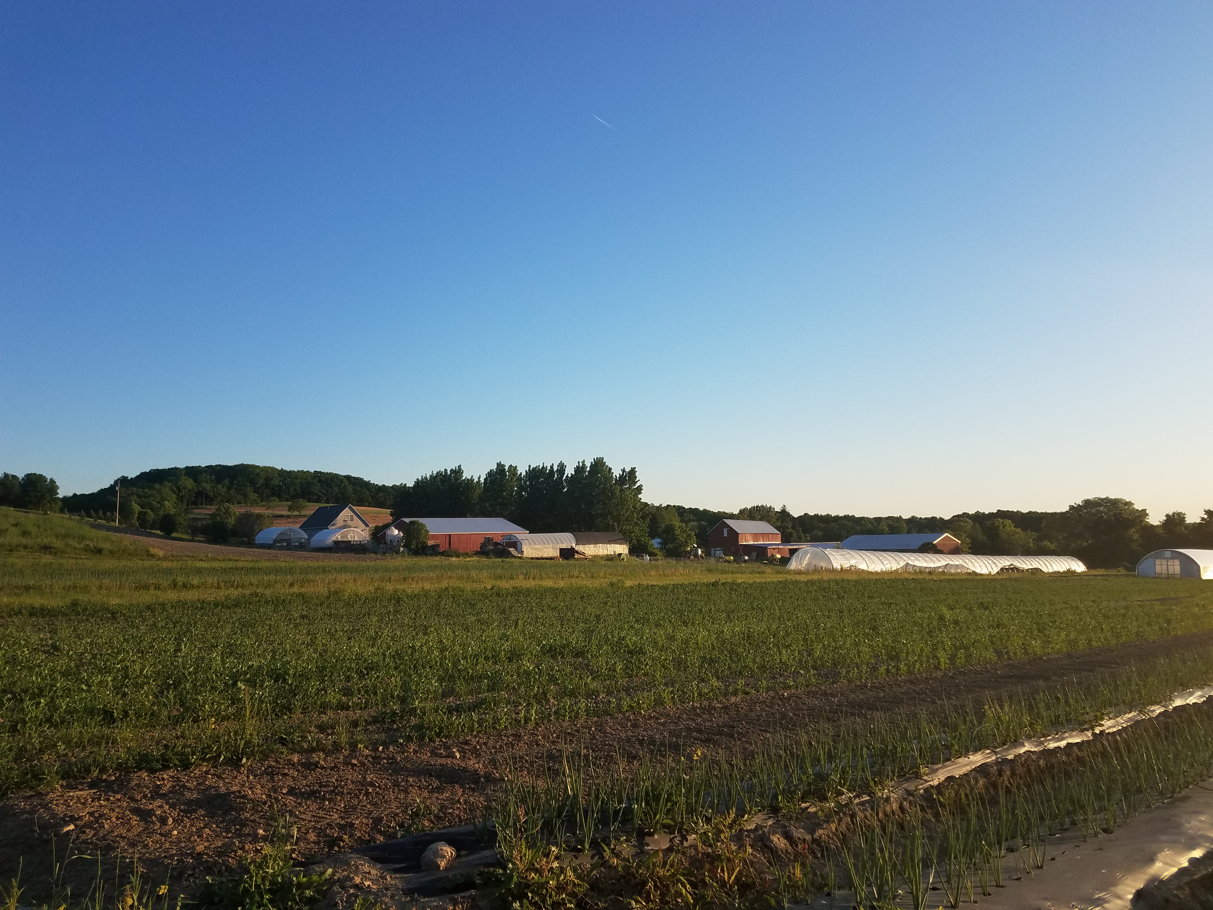 Fisher Hill Farm - Bristol, NY