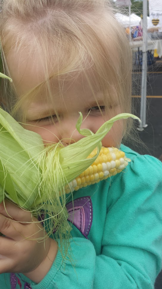 Fisher Hill Farm - Local Sweet Corn 2