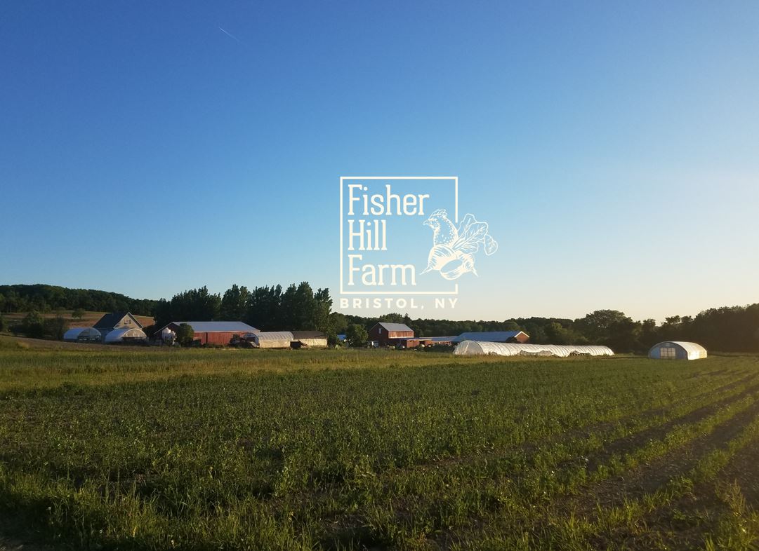 Fisher Hill Farm Bristol New York