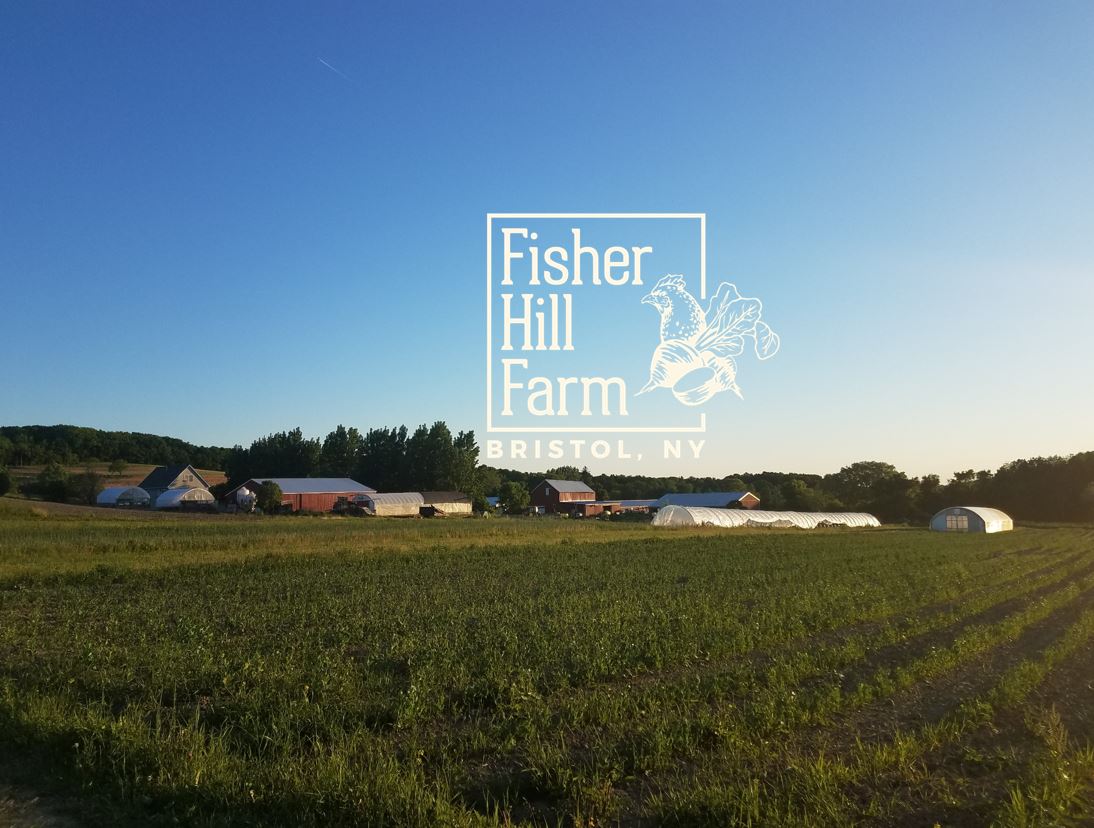 Fisher Hill Farm Bristol New York