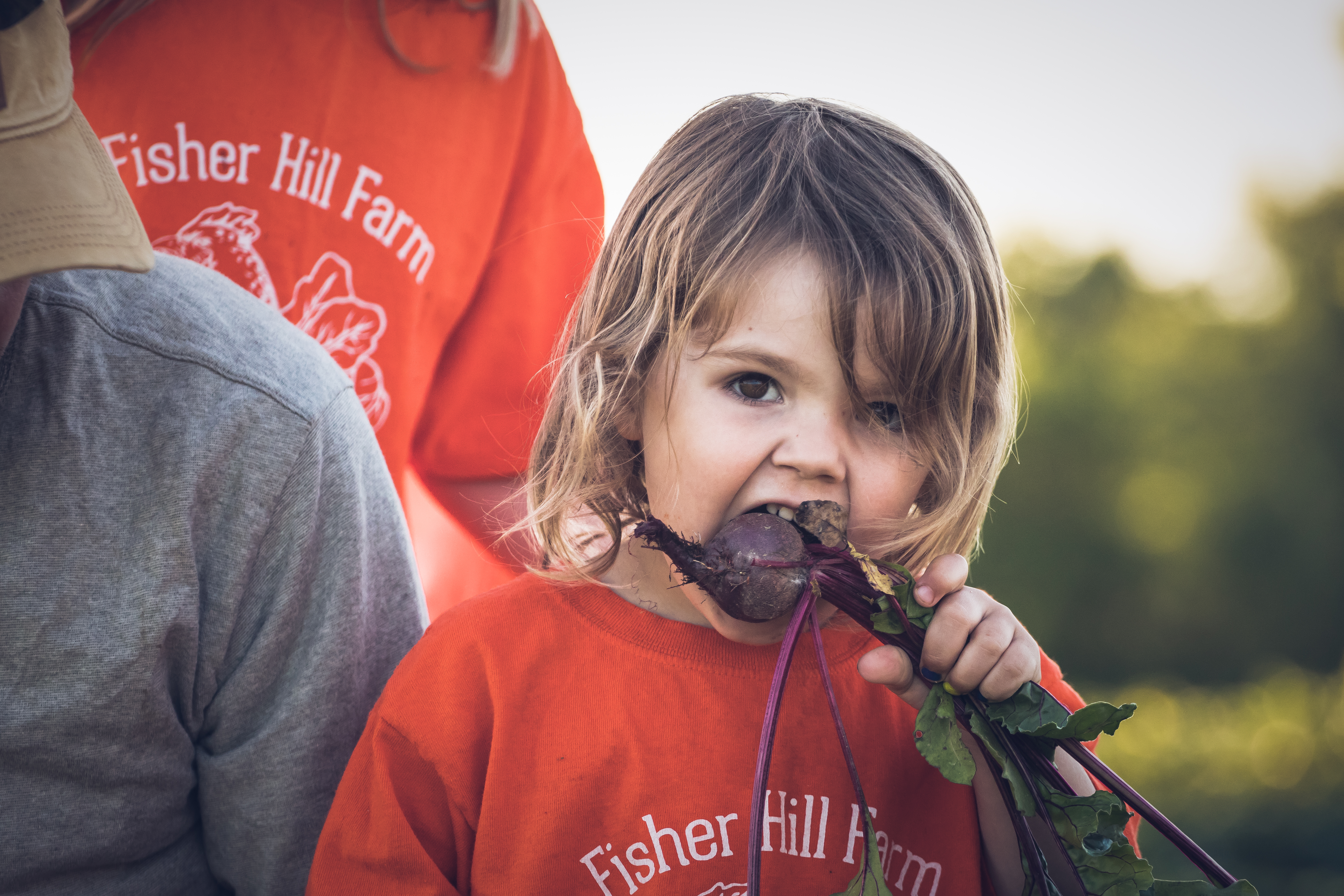 Fisher Hill Farm Community Supported Agriculture CSA Rochester New York