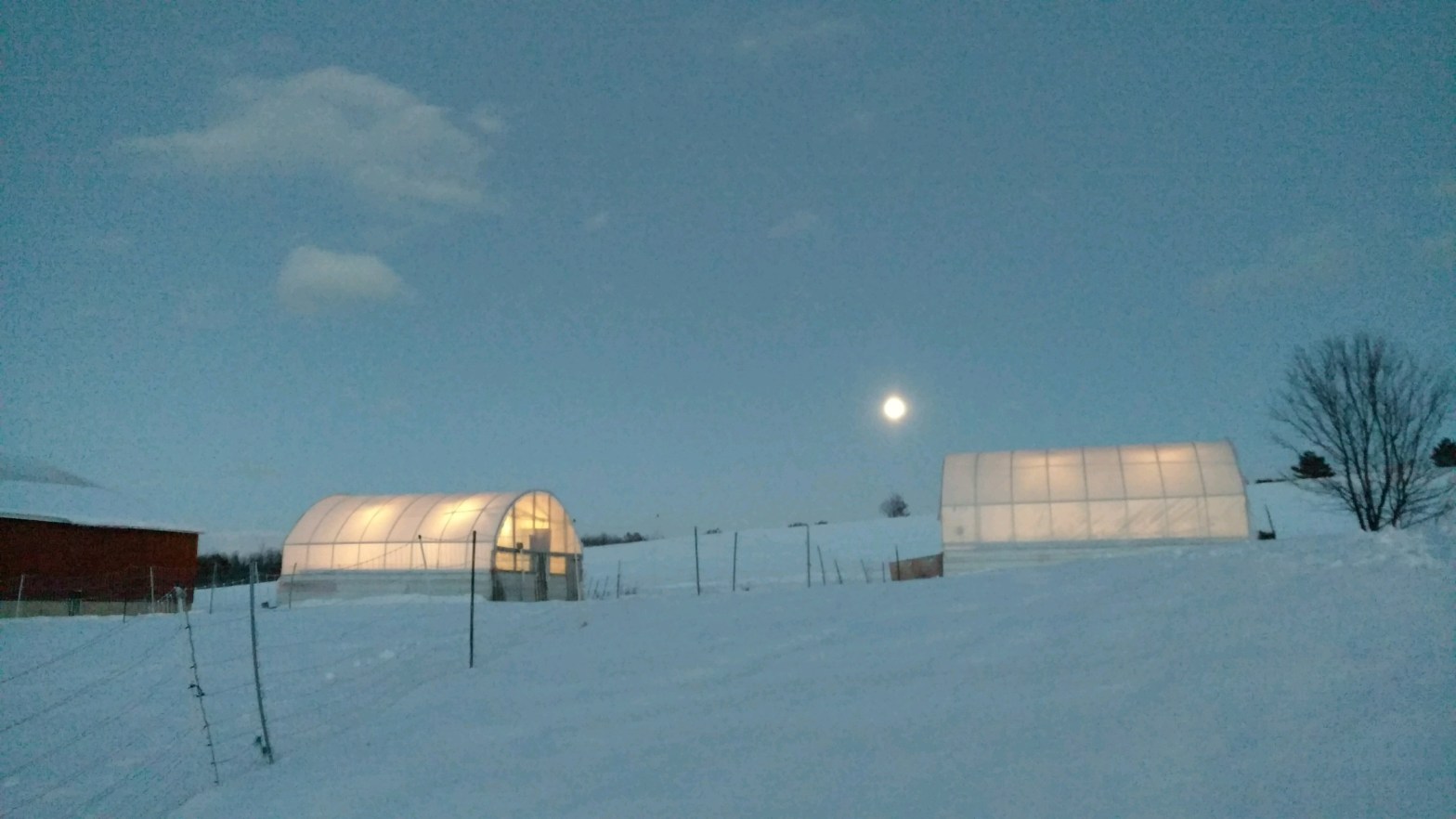 Fisher Hill Farm Winter