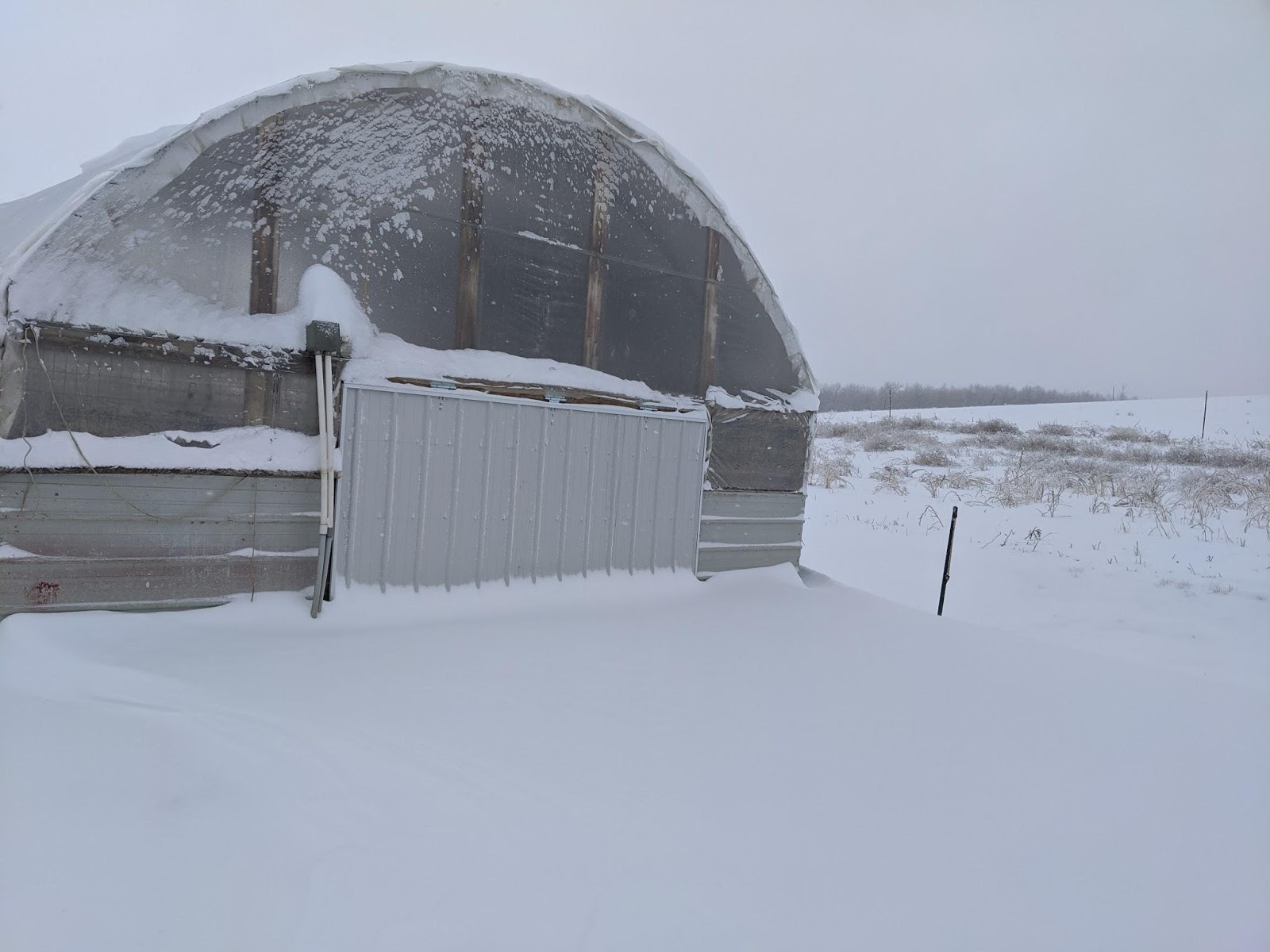 Fisher Hill Farm - Local Chicken and Poultry