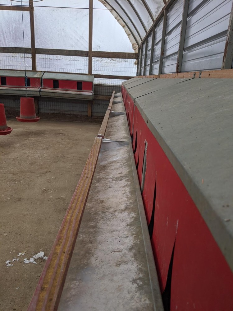 Fisher Hill Farm - Local Chicken and Poultry