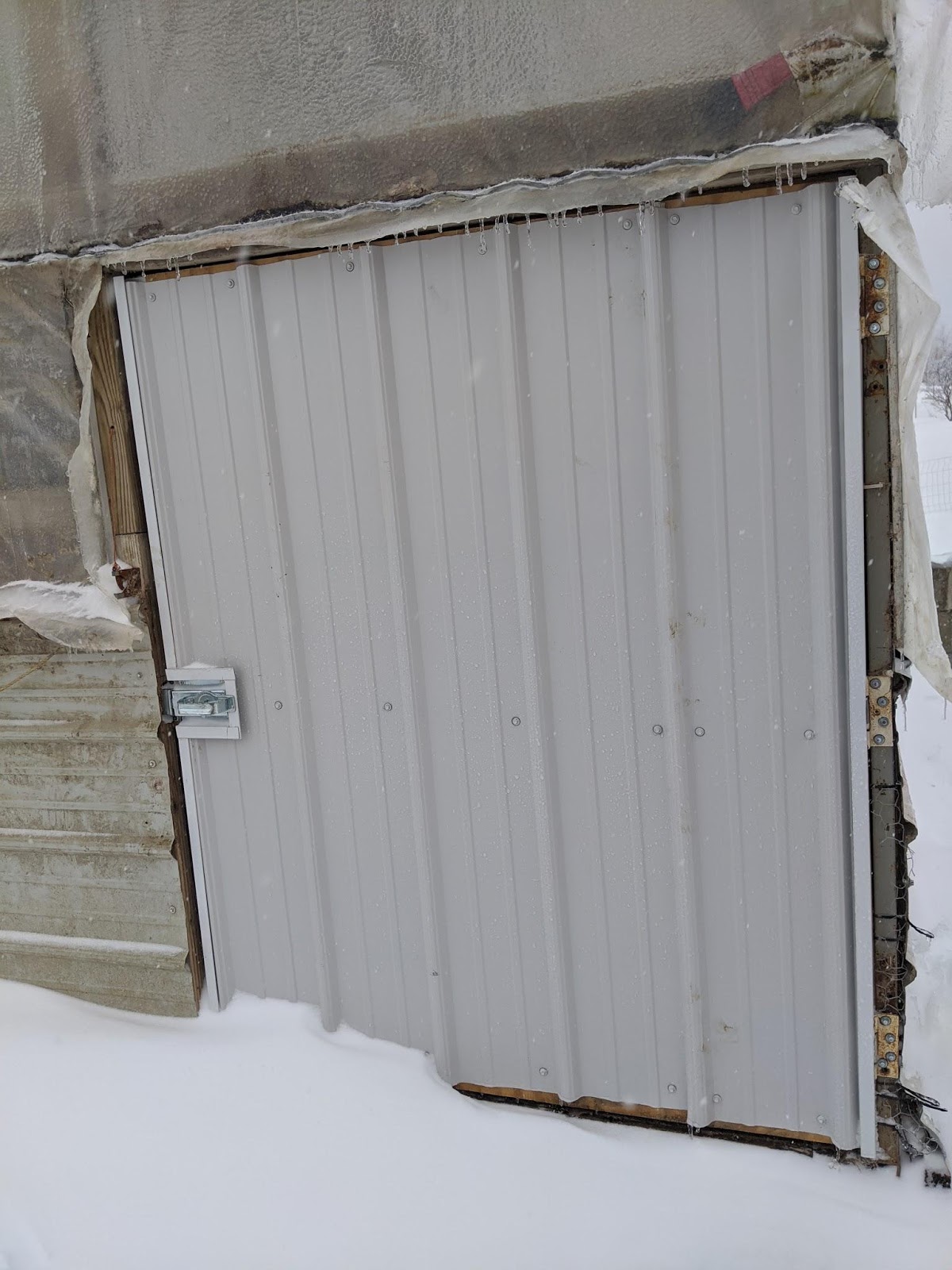 Fisher Hill Farm - Local Chicken and Poultry