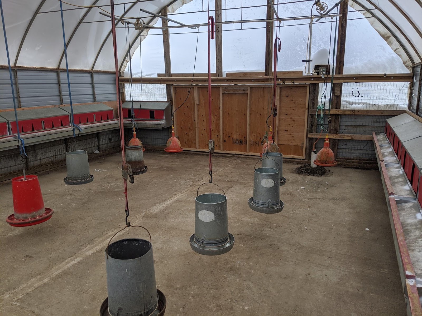 Fisher Hill Farm - Local Chicken and Poultry