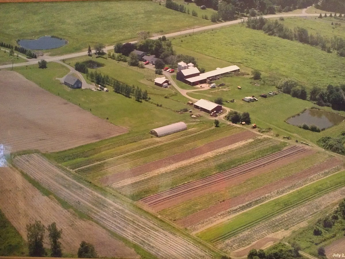 A Typical Day on the&nbsp;Farm