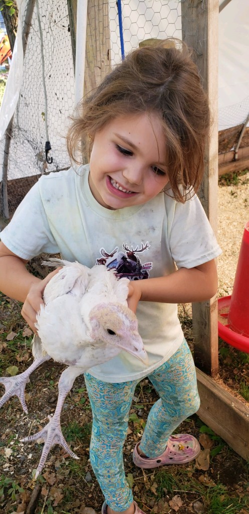 Fisher Hill Farm - Thanksgiving Turkey