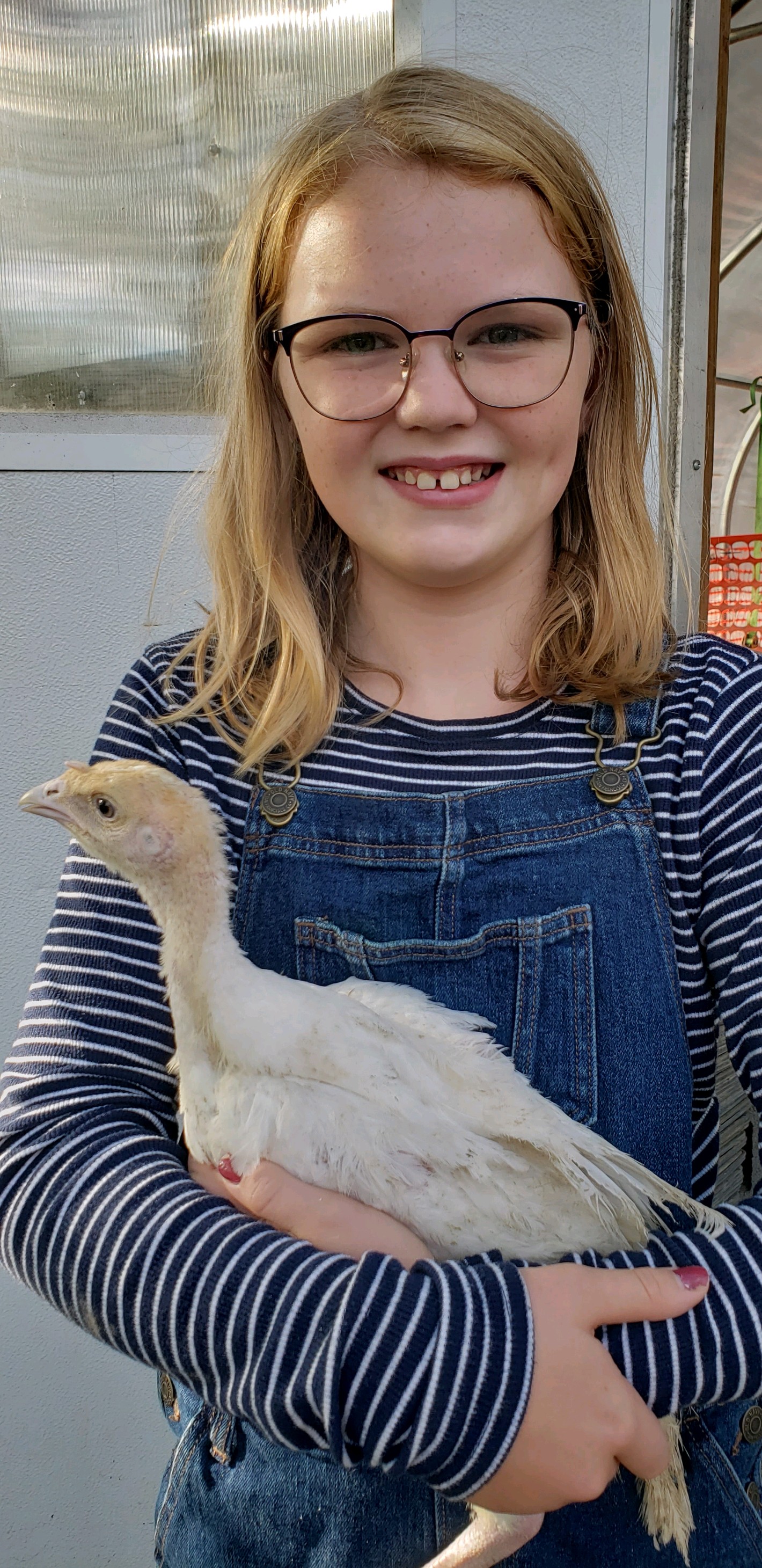 Fisher Hill Farm Turkey