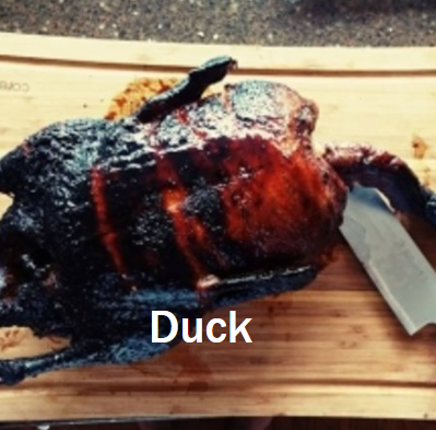 Fisher Hill Farm Duck